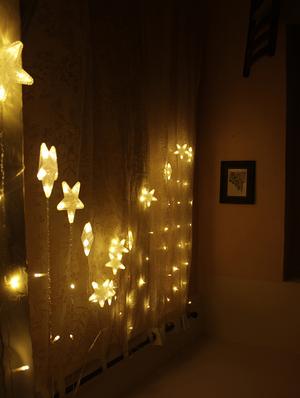 miniature led bulbs and star golden light - 16667704 - Standard Image - 3