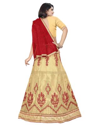 embroidered panelled lehenga - 16975762 - Standard Image - 3
