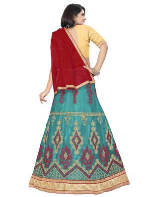 embroidered panelled lehenga - 16975763 - Standard Image - 3