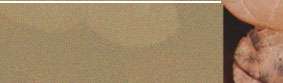 grid-item