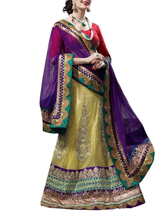multicolor net lehenga