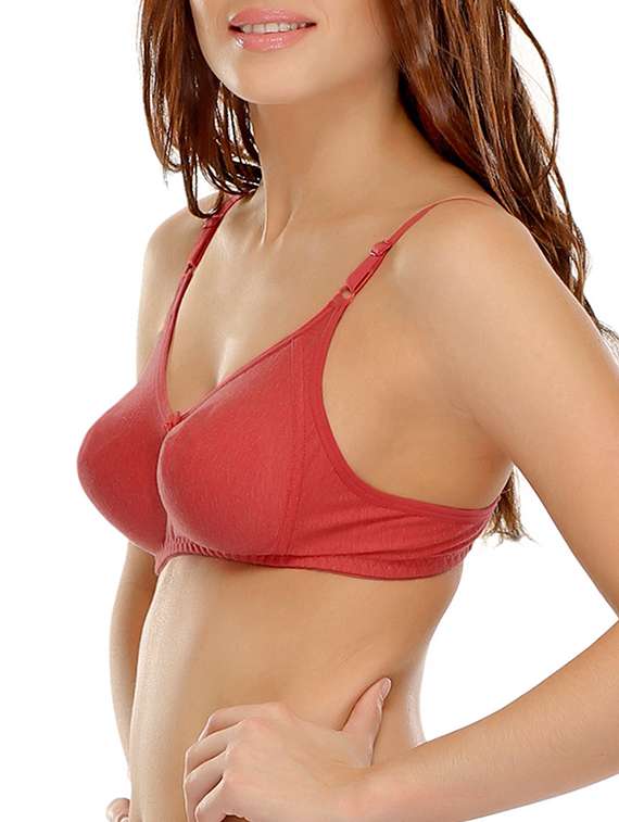 Set Of 2 Multi Colored Cotton Blend Regular Bra - 10971096 -  Standard Image - 2