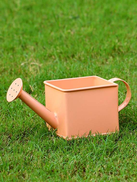 deziworkz square watering can coral
