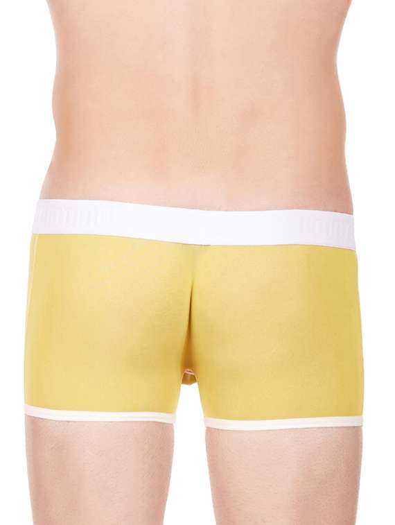 yellow null brief - 11941794 - Standard Image - 2