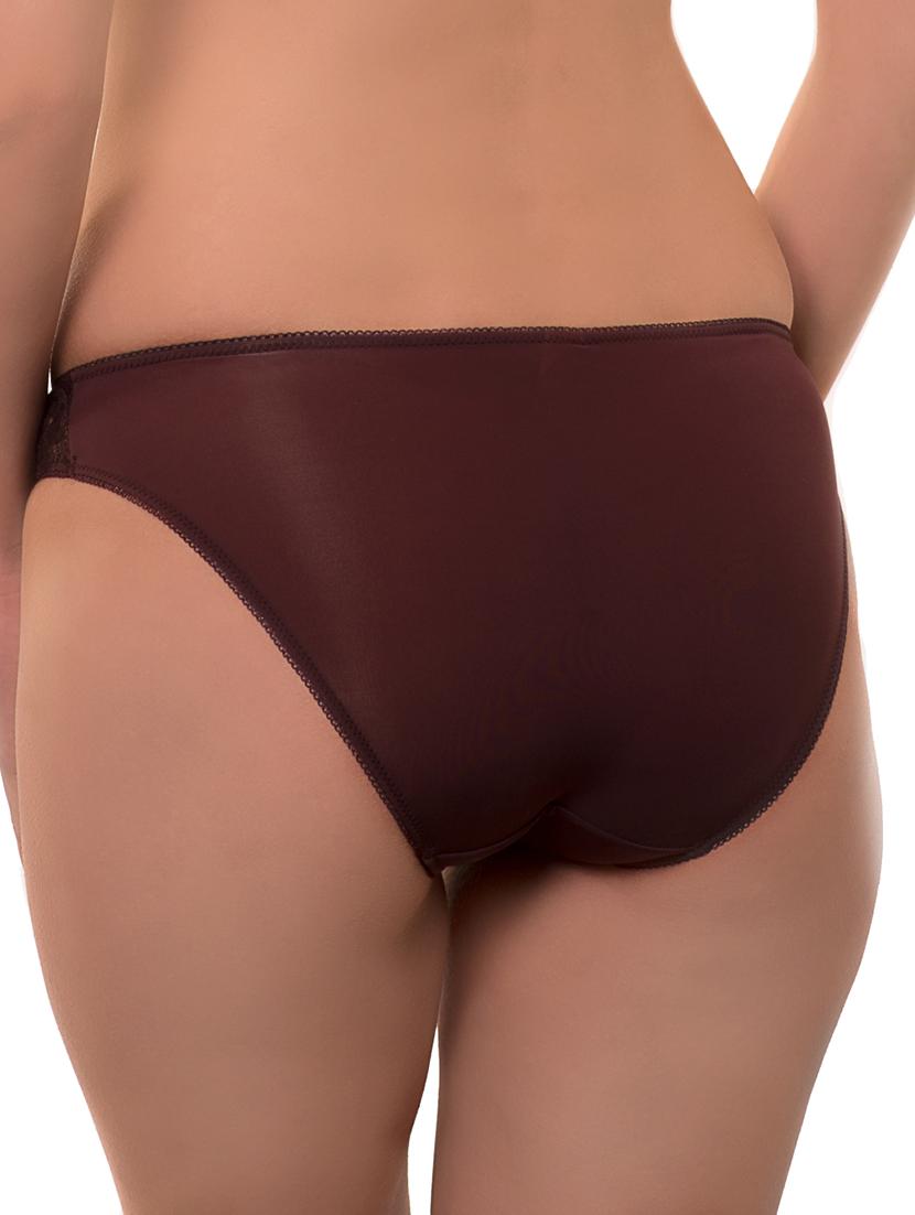 brown nylon bikini panty - 12096167 - Standard Image - 2