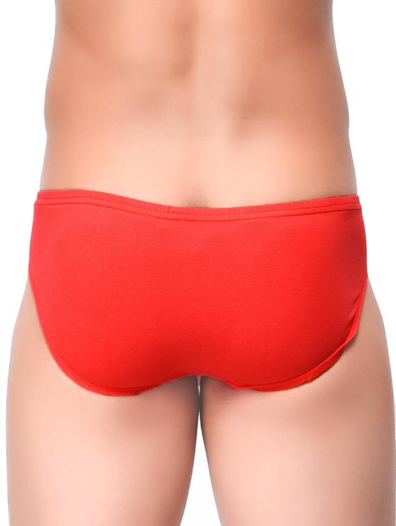 multi colored null brief - 12204960 - Standard Image - 2