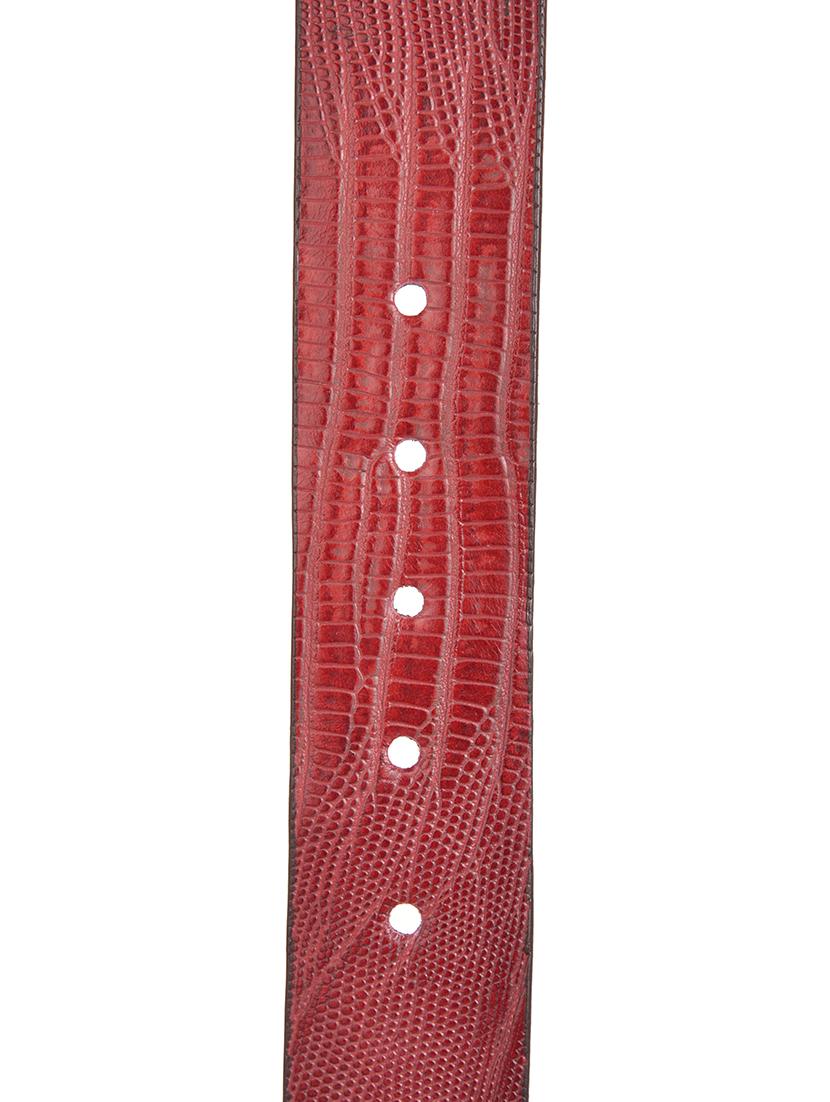 red leather belt - 12883725 - Standard Image - 2