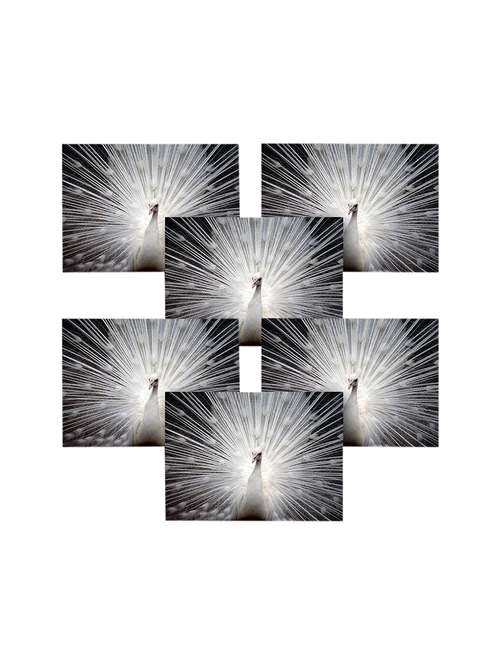 printed polyester table mat set of 6 pcs by ambbi collections - 14078092 - Standard Image - 0
