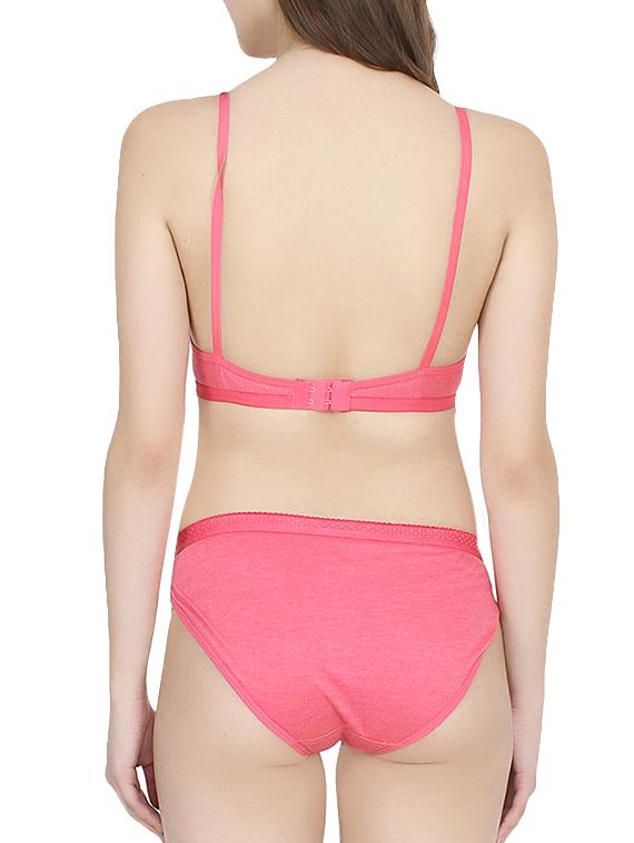 pink hosery bras and panty set - 14078571 - Standard Image - 2