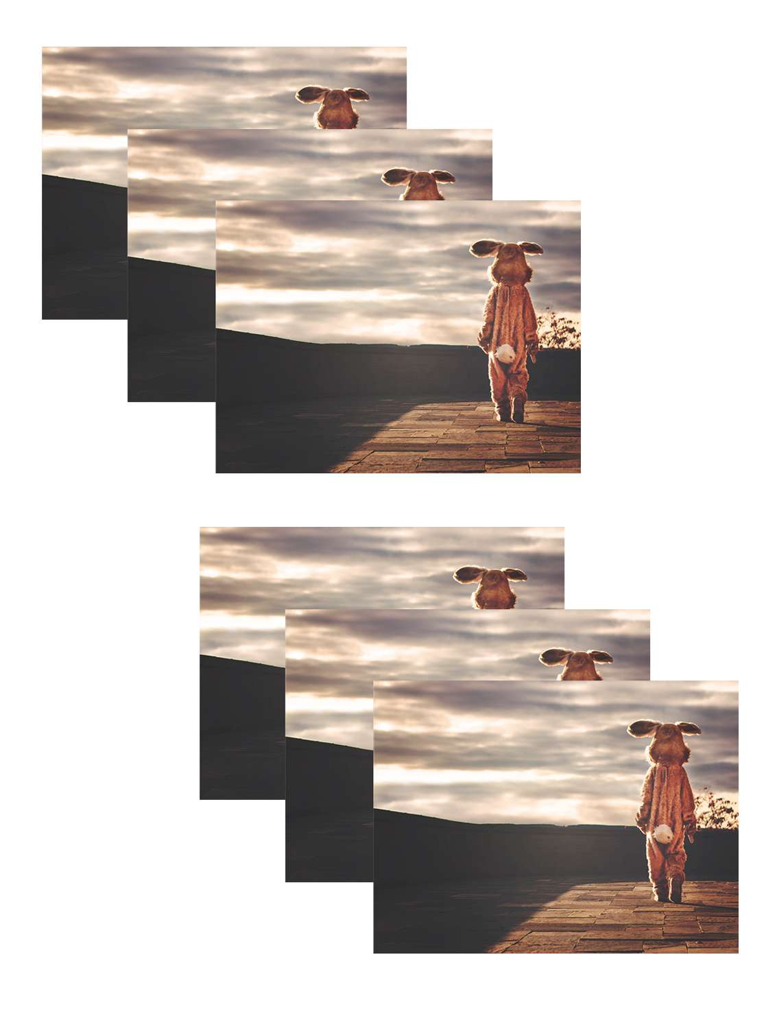 printed polyester table mat set of 6 pcs by ambbi collections