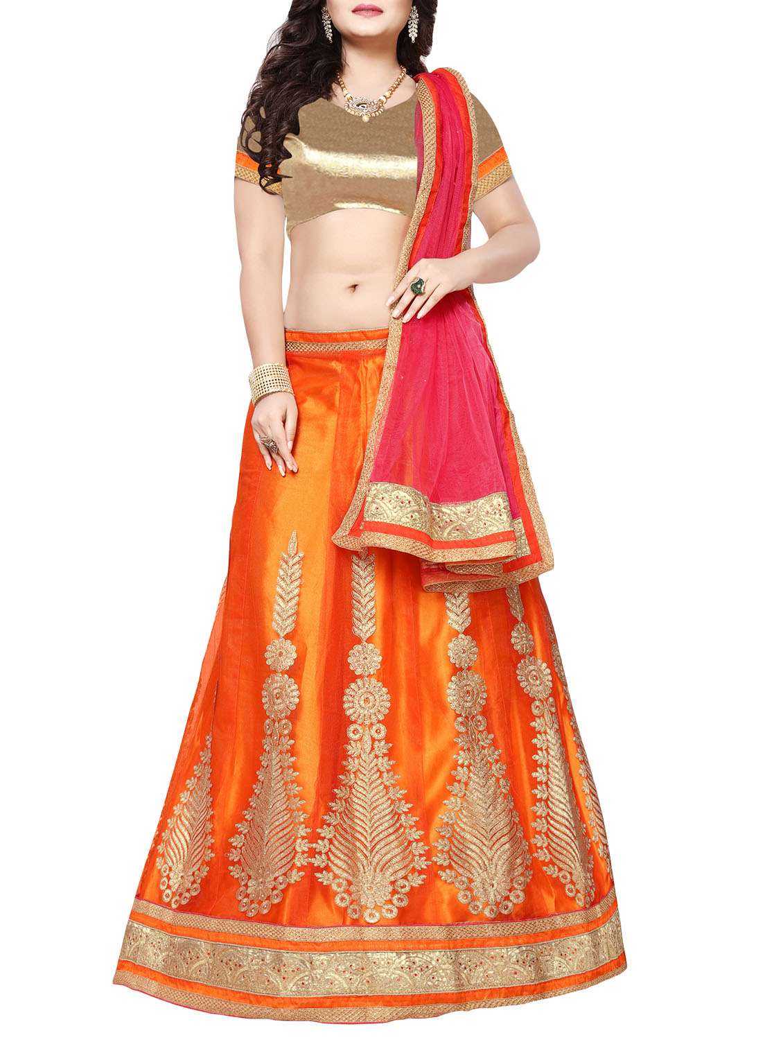 embroidered kalidaar lehenga