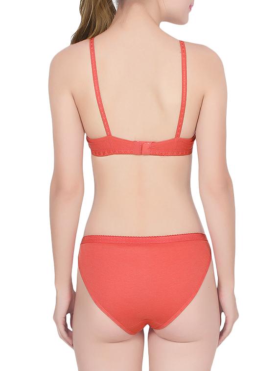 red hosery bra and panty - 14243021 - Standard Image - 2