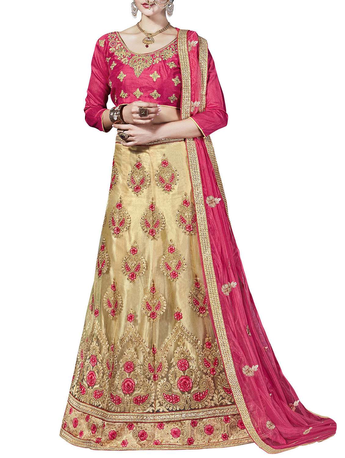 beige net panelled lehenga