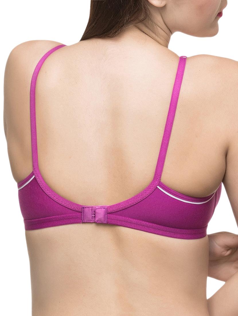 set of 3 bow patch bra - 14554136 - Standard Image - 2