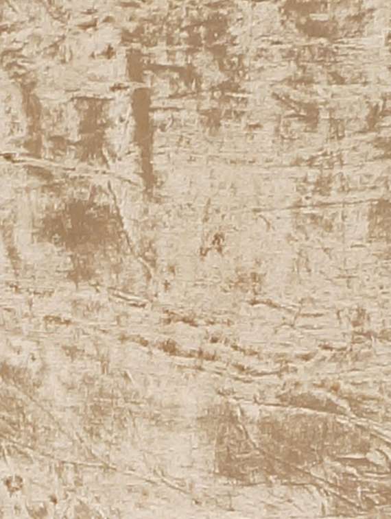 gold velvet shawl - 14573365 -  Standard Image - 2