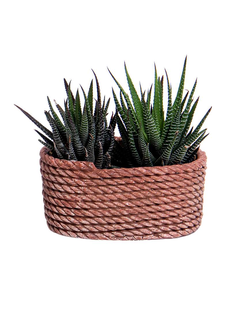 traditional rope style planter pot