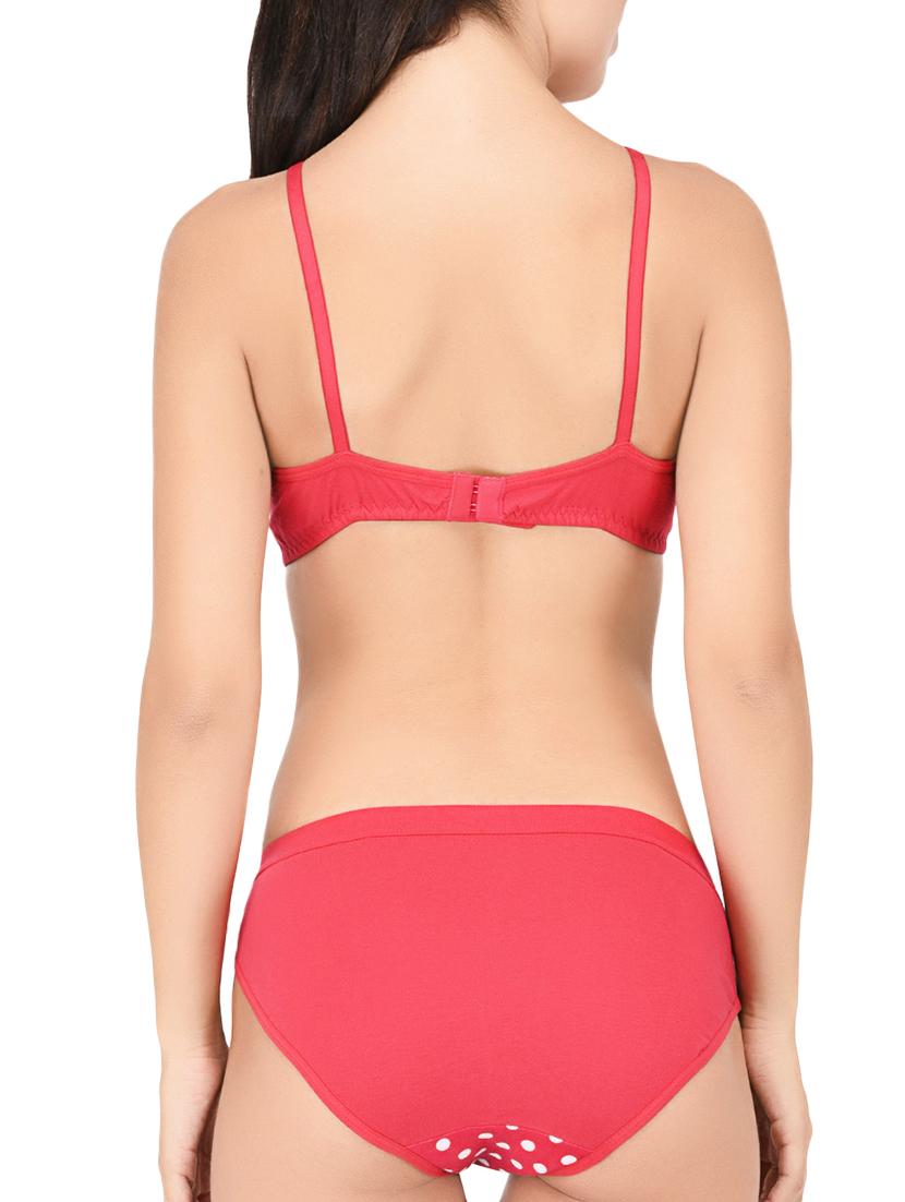 pink polka dotted hosery bras and panty set - 15203840 - Standard Image - 2