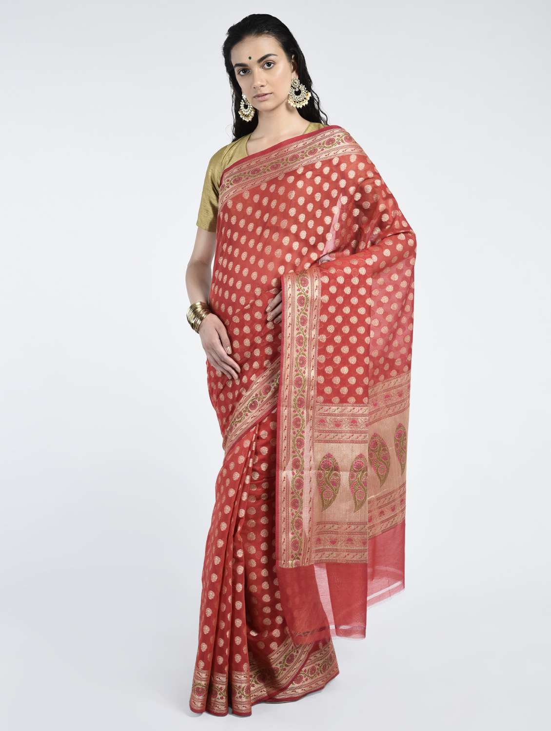zari motif  banarasi saree