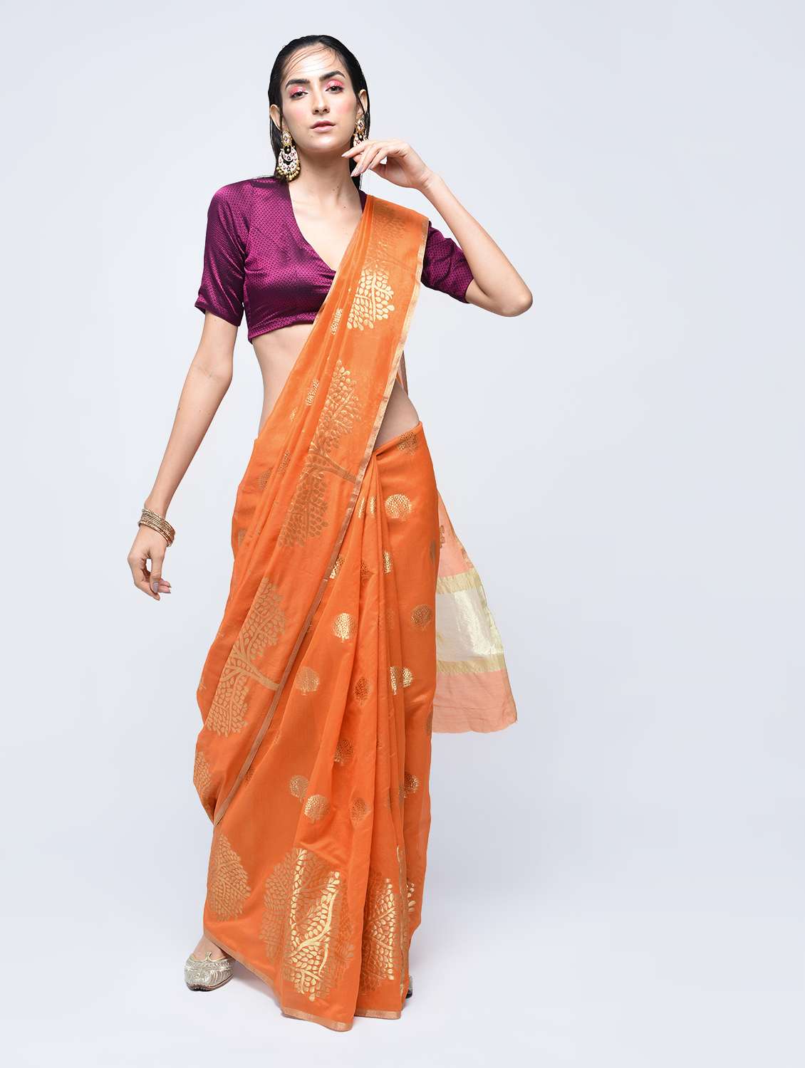 conversational zari motif banarasi saree with blouse