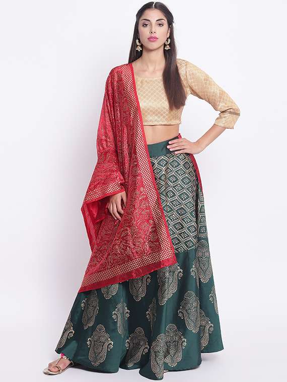 foil printed flared lehenga set
