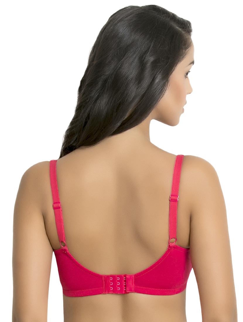 lace detail scallop trim bra - 15652859 - Standard Image - 2