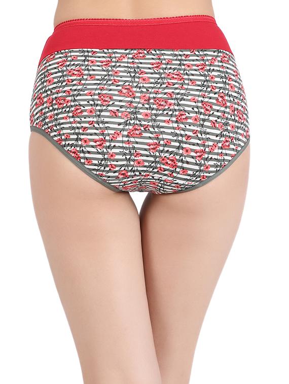 floral striped hipster panty - 15679226 - Standard Image - 2