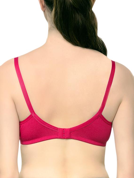 bow patch solid bra - 15745764 - Standard Image - 2