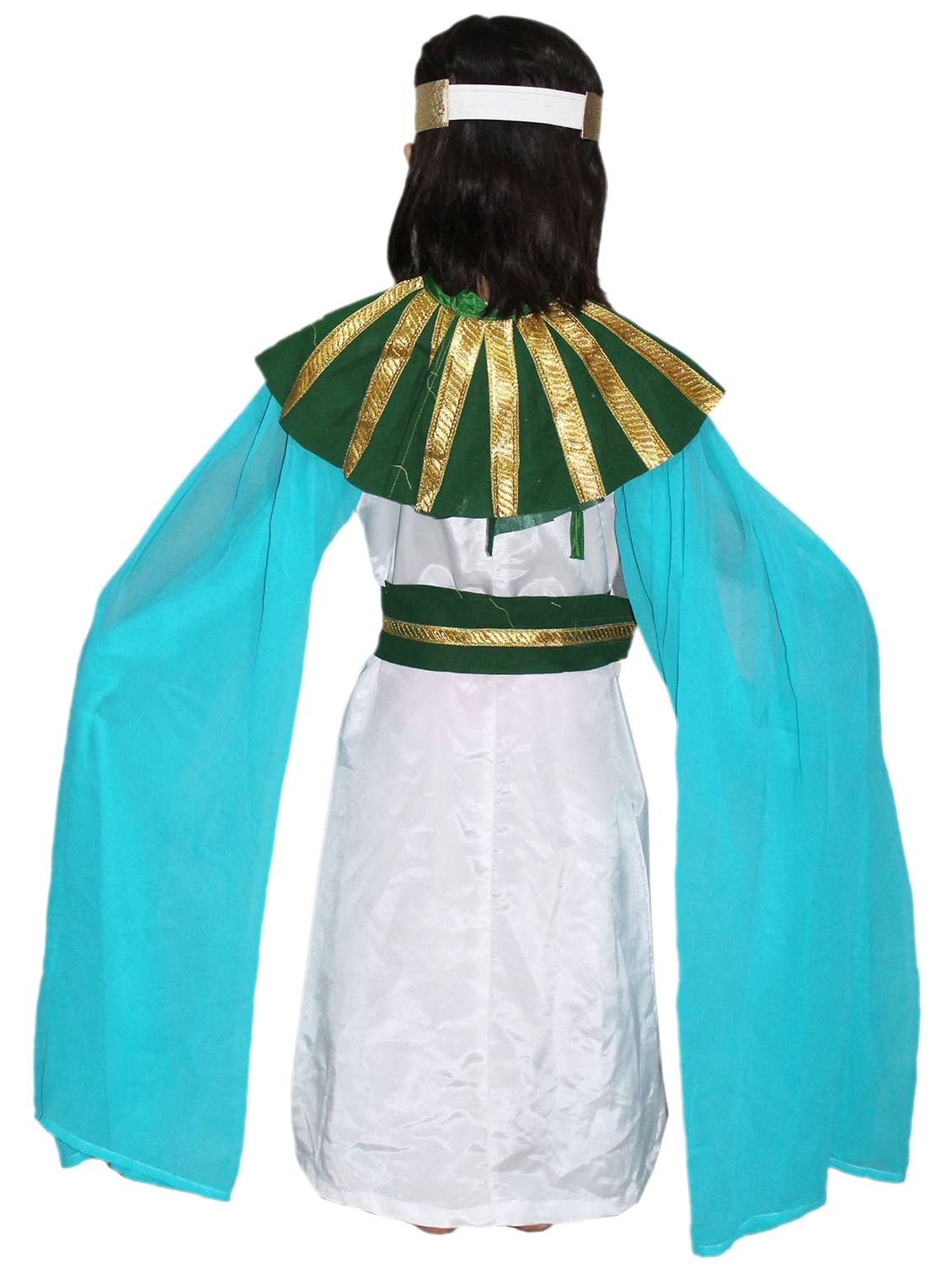 Multi Colored Polyester Costume