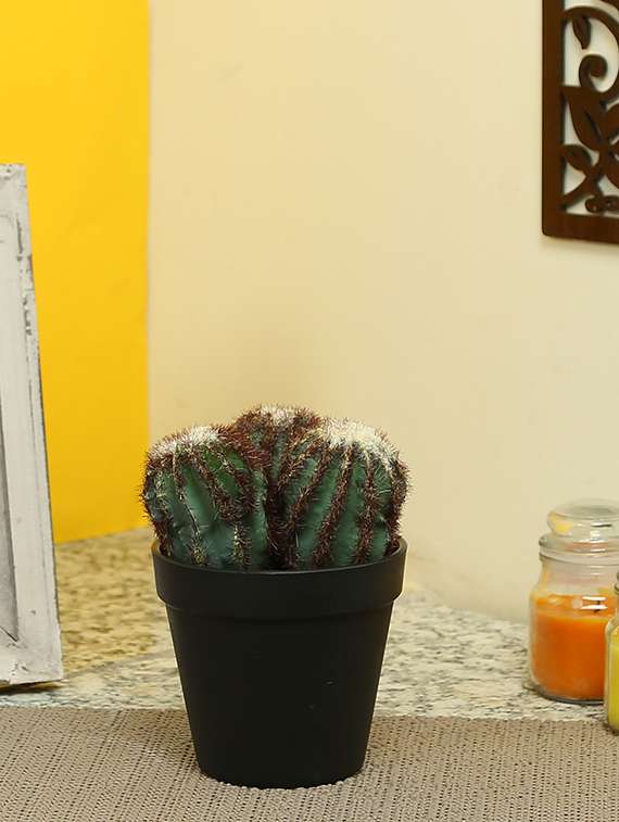 artificial plastic cactus with abs plastic pot by aapno rajasthan