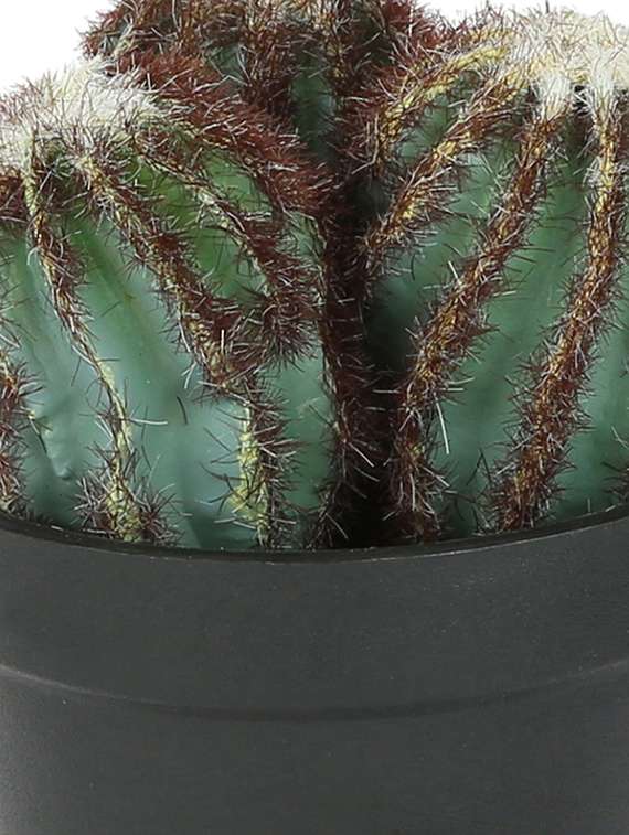 artificial plastic cactus with abs plastic pot by aapno rajasthan - 15970688 -  Standard Image - 2