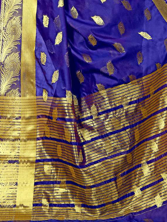 conversational zari motifs blue kanjivaram saree with blouse - 16114486 -  Standard Image - 2