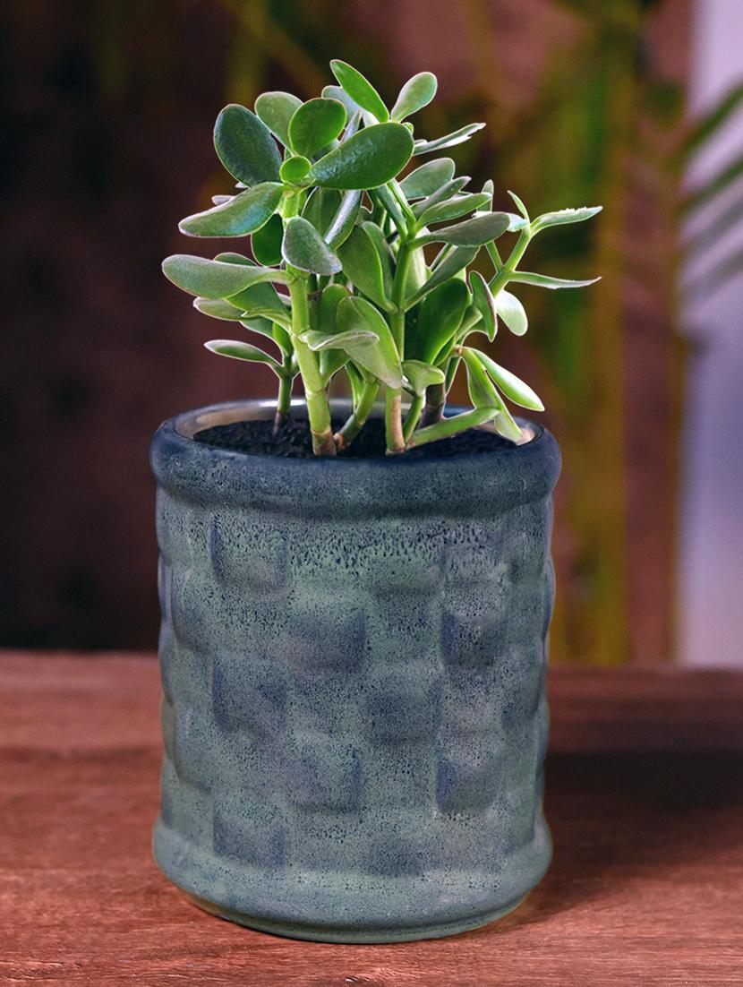 ceramic studio blue table top planter - 16139755 - Zoom Image - 0