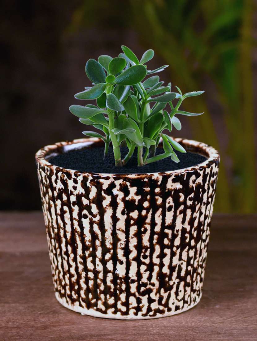 ceramic brown bucket polka dot table top planter - 16139759 -  Zoom Image - 0