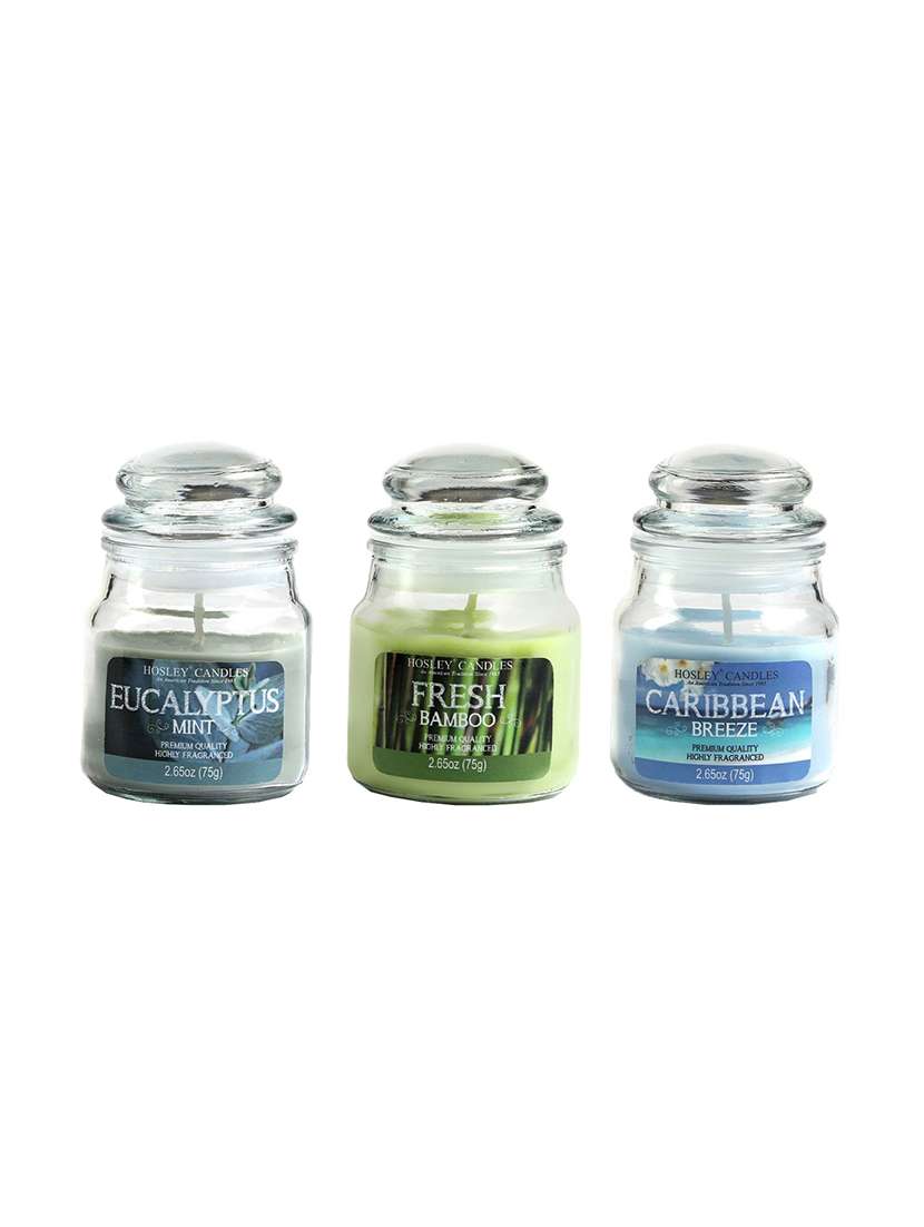 hosley set 3 multicolor highly fragranced jar candle for decoration/ festive|eucalyptus mint| fress bamboo| caribbean breeze