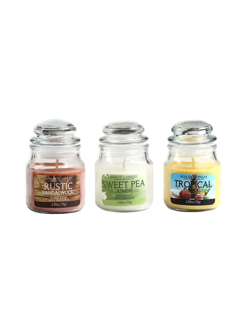 hosley set 3 multicolor highly fragranced jar candle for decoration/ festive|rustic sandlewood| jasmine| tropical mist