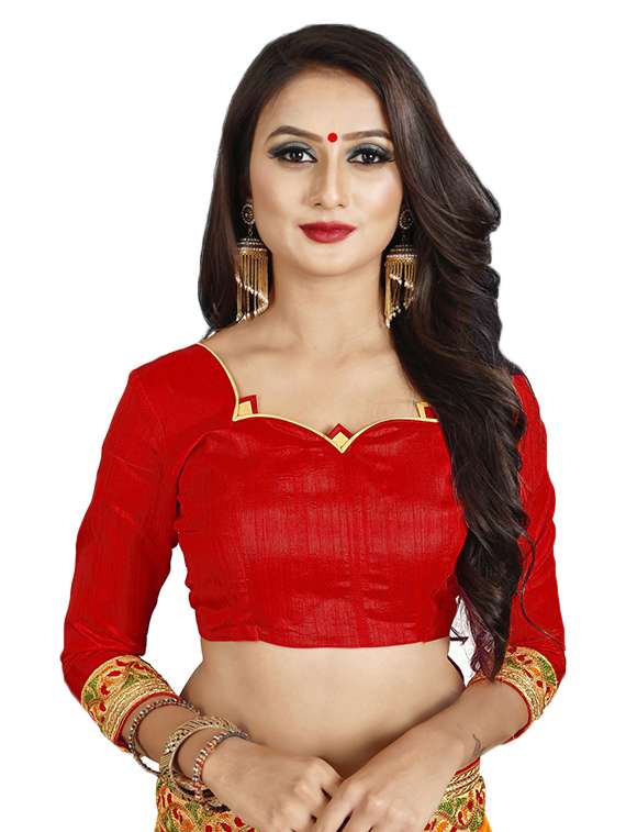 lace border embroidered saree with blouse - 16404343 - Standard Image - 2