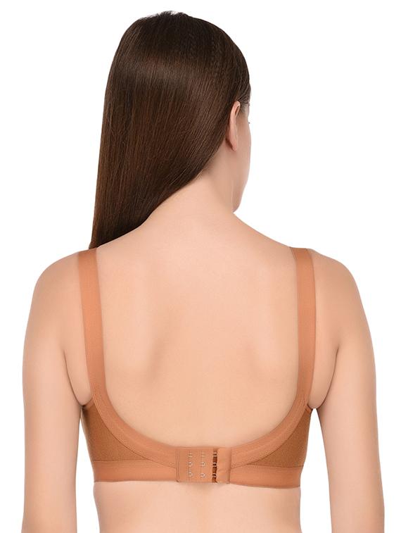 set of 2 solid regular bra - 16482278 - Standard Image - 2