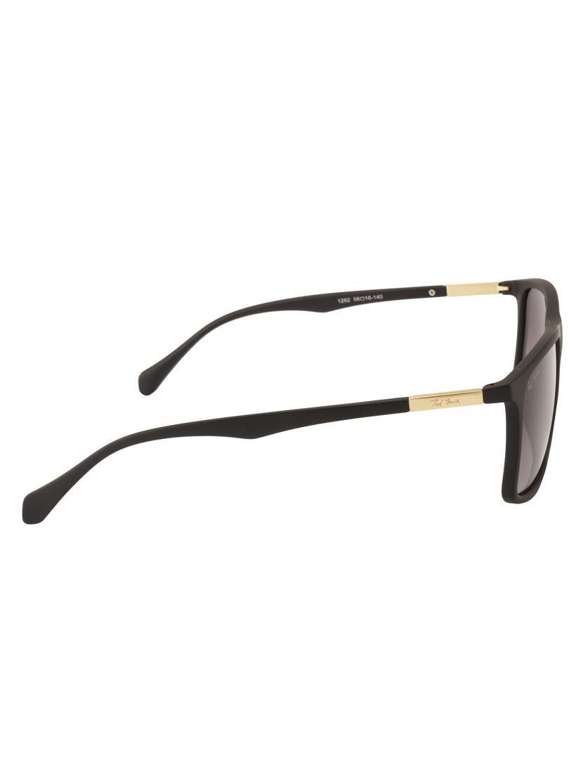 ted smith uv protected wayfarer sunglasses - 16567729 - Standard Image - 2