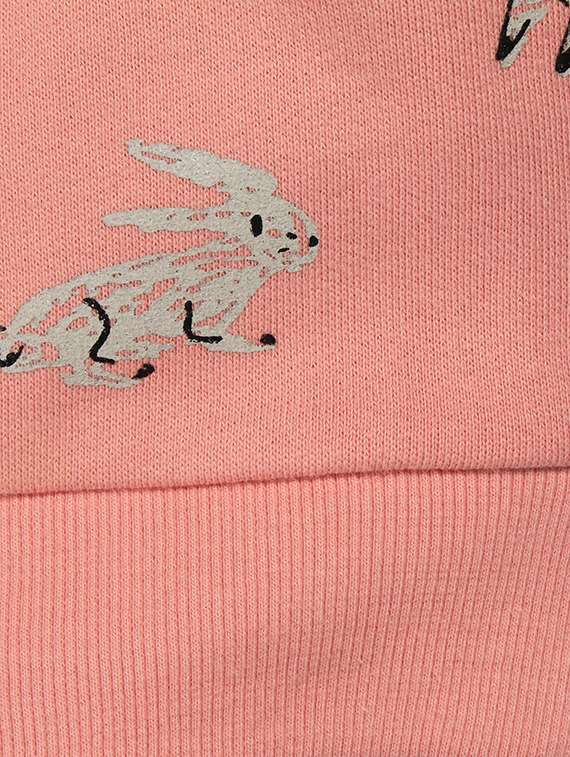 crew neck pink sweatshirt - 16680201 -  Standard Image - 2