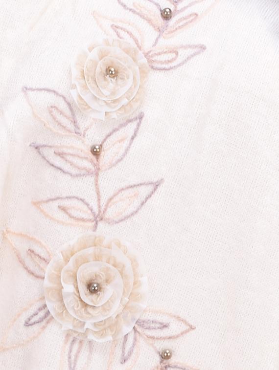 embroidered woolen shawl - 16753426 - Standard Image - 2