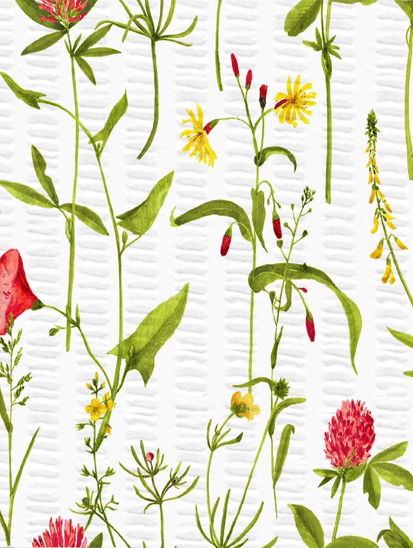 cotton popsical dohar with single size bed sheet & 1 pillow cover - 16904218 - Standard Image - 2
