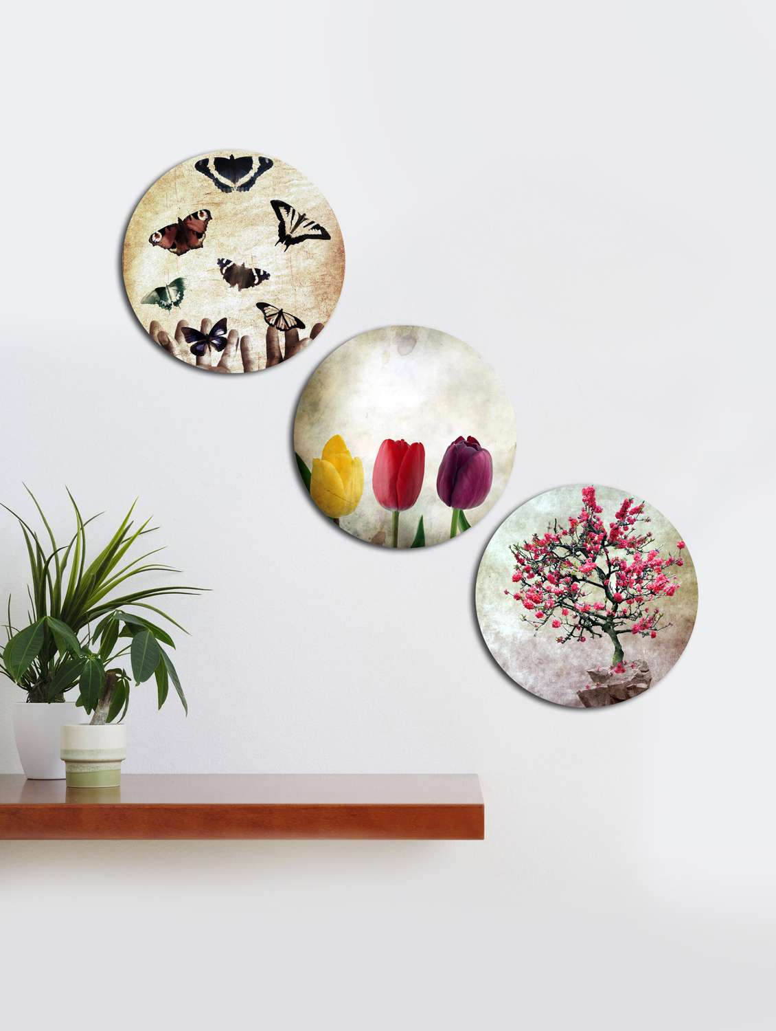  round wall vintage painting with wooden frame and without glass - set of 3