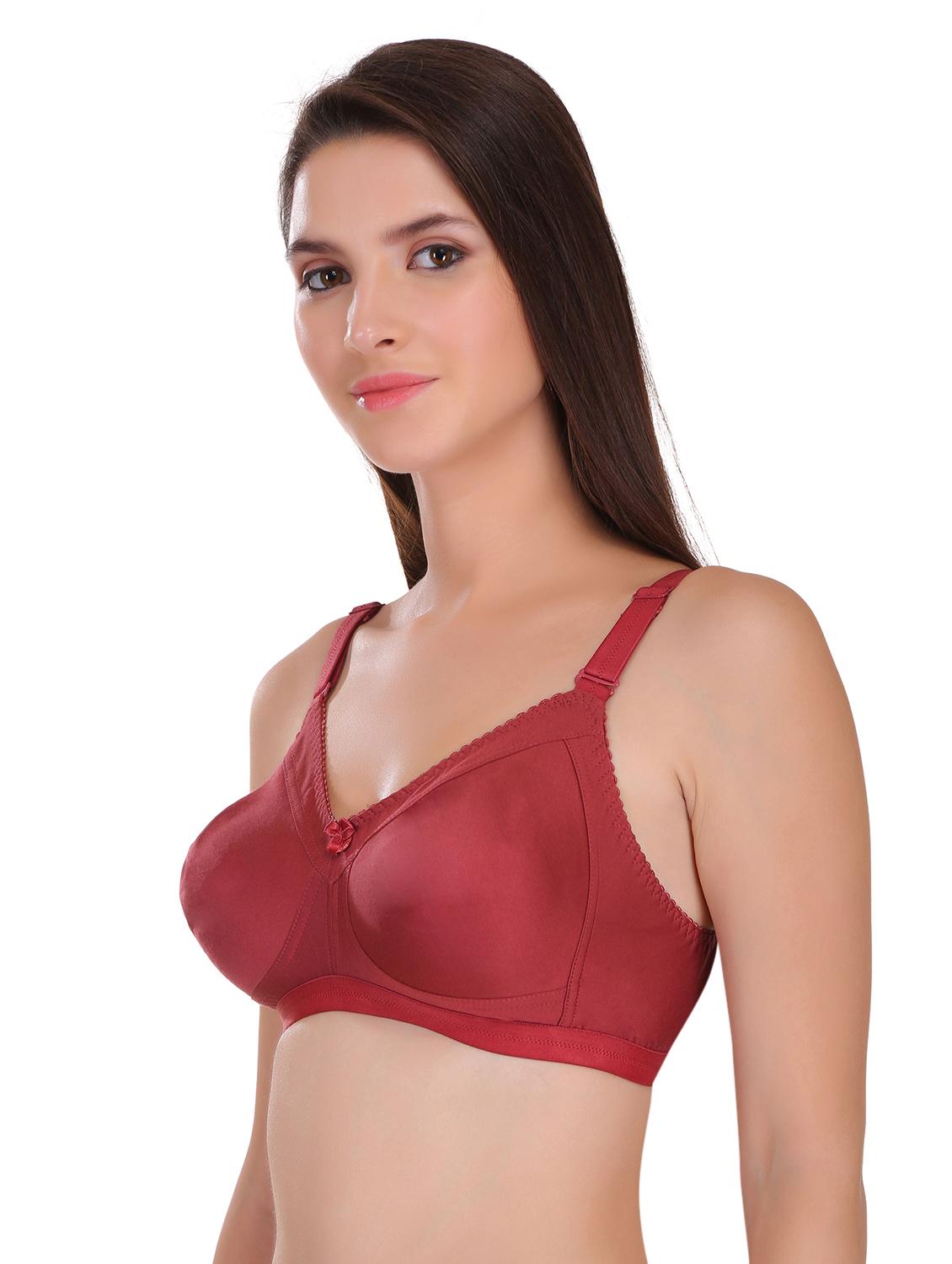 set of 2 full coverage minimizer bra - 17192749 - Standard Image - 2