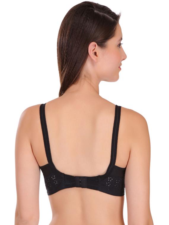 set of 3 embroidered minimizer bra - 17194594 - Standard Image - 2
