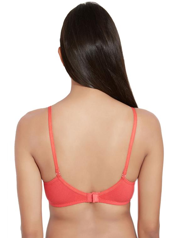 set of 3 3/4 coverage solid t-shirt bra - 17194771 - Standard Image - 2