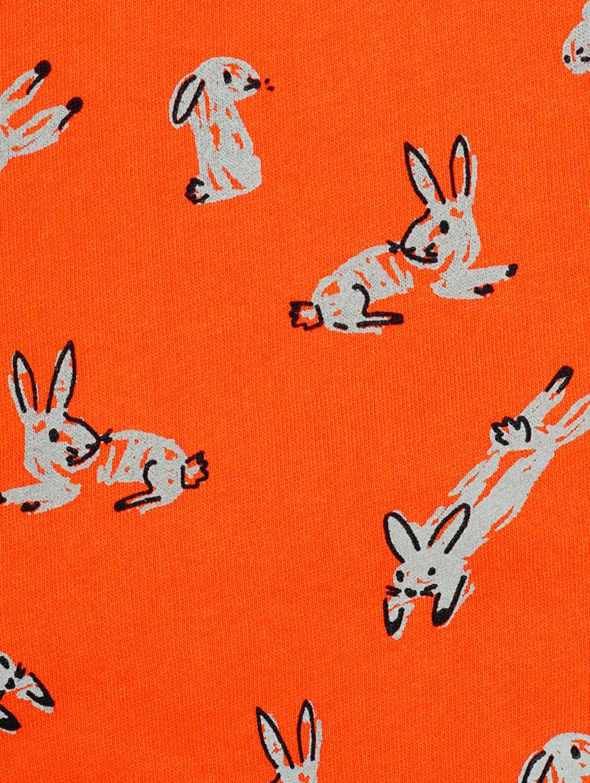 boys quirky sweatshirt - 17372365 -  Standard Image - 2