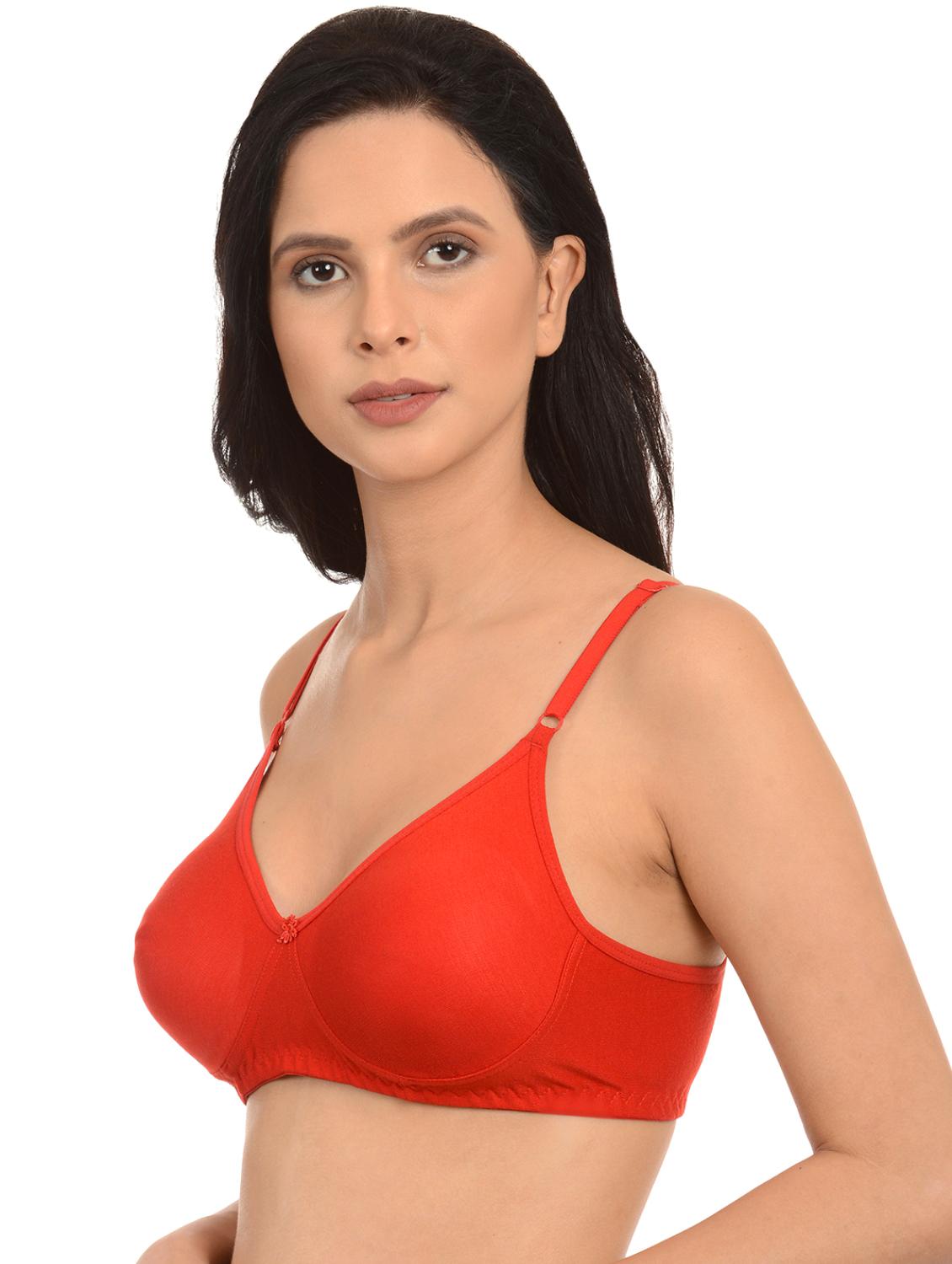 set of 2 bras - 17376358 - Standard Image - 2