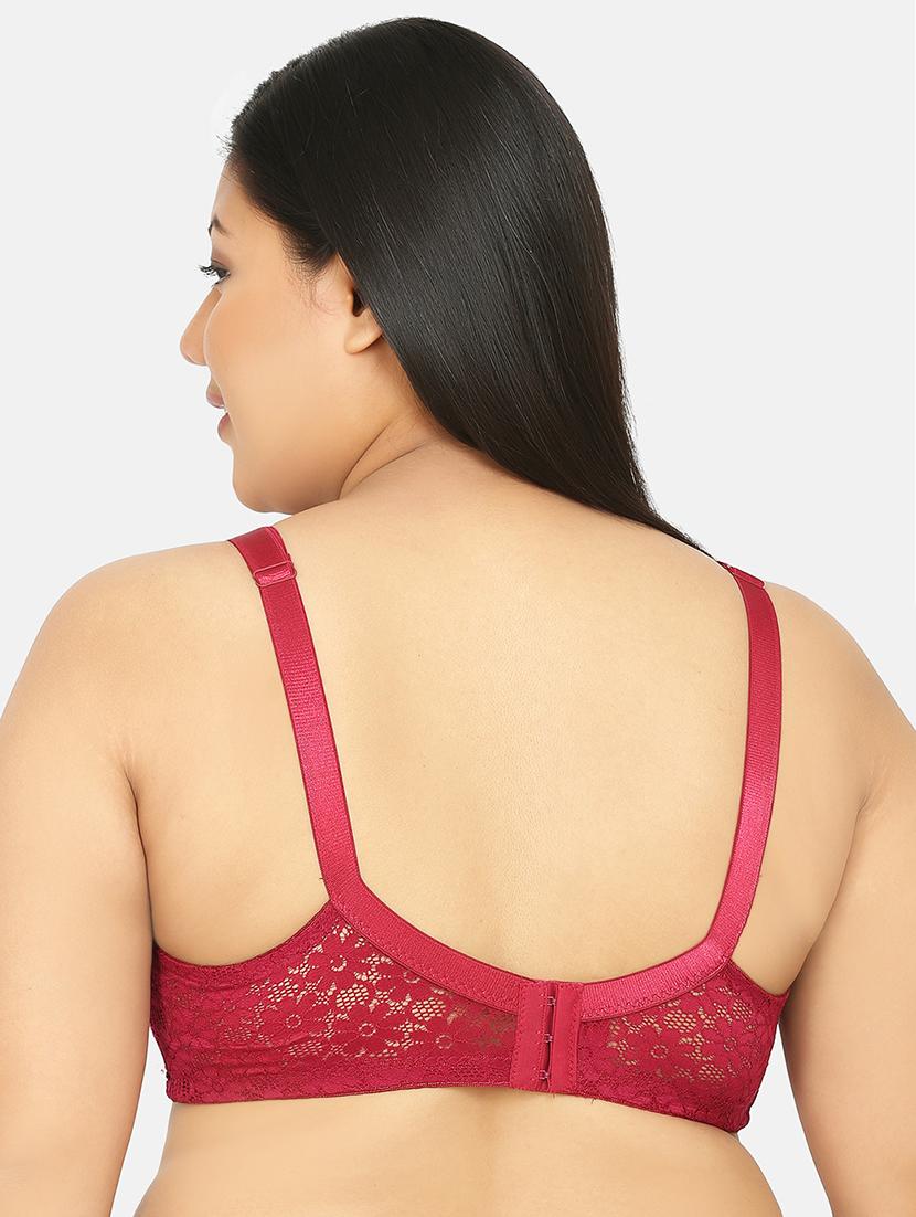 maroon lace plus bra - 17419298 - Standard Image - 2