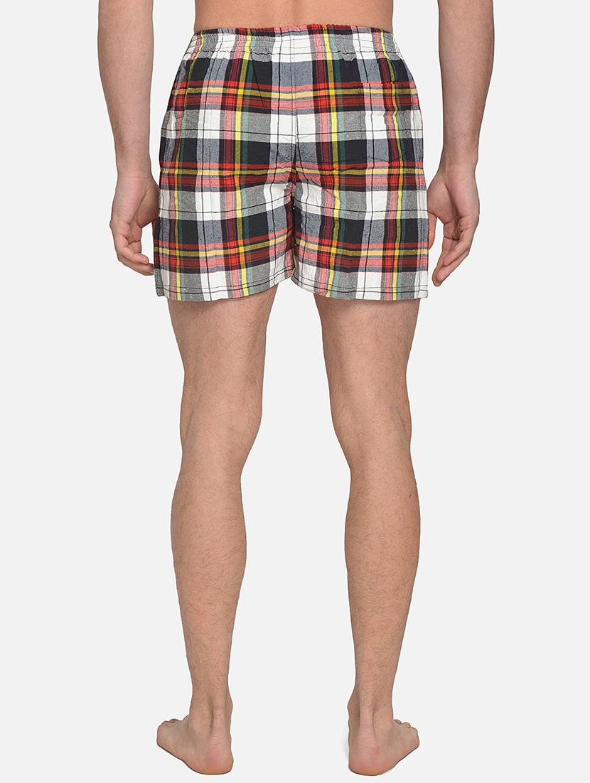 multi colored checkered boxer - 17536449 - Standard Image - 2