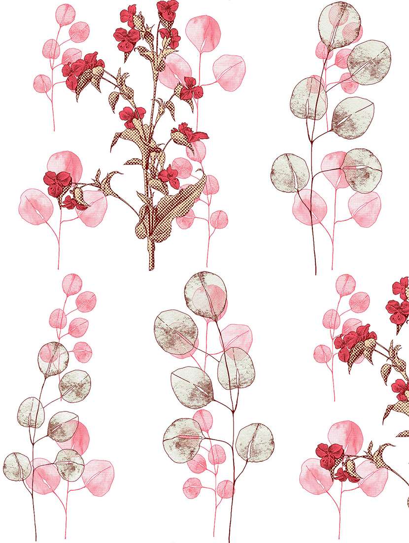 blueberry double bedsheet set super king size 180 tc cotton red colour - 17566259 -  Standard Image - 2